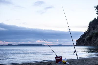 Surfcasting fishing for Sea bream