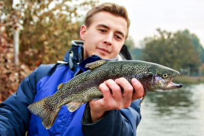 Fly fishing for trout