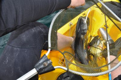 Lead techniques for soft lures to fish bass
