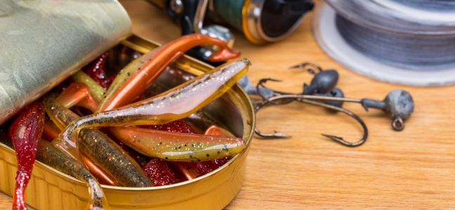 Pollack Fishing with soft lure