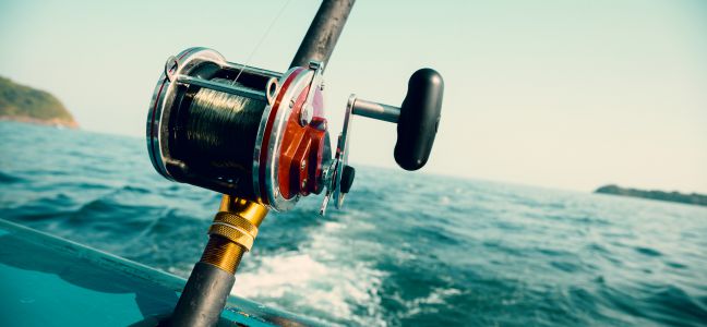 La pêche du calamar à la traîne