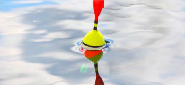 Tips on material to catch bass on plug from the shore