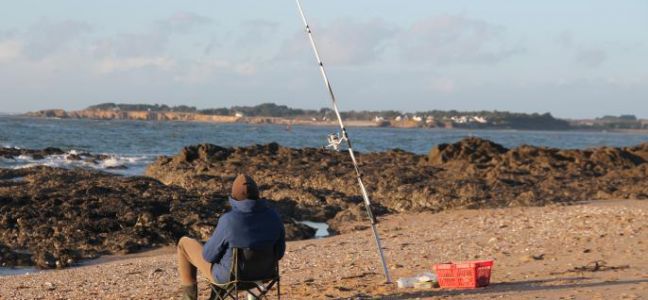 Tips on material to catch bass in surfcasting