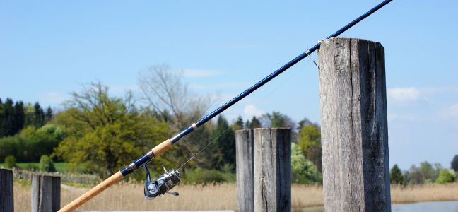 Tips on material to catch bass with jig