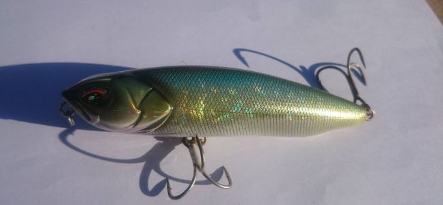 Angling bass with surface lures
