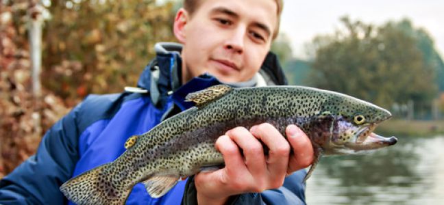 Fly fishing for trout