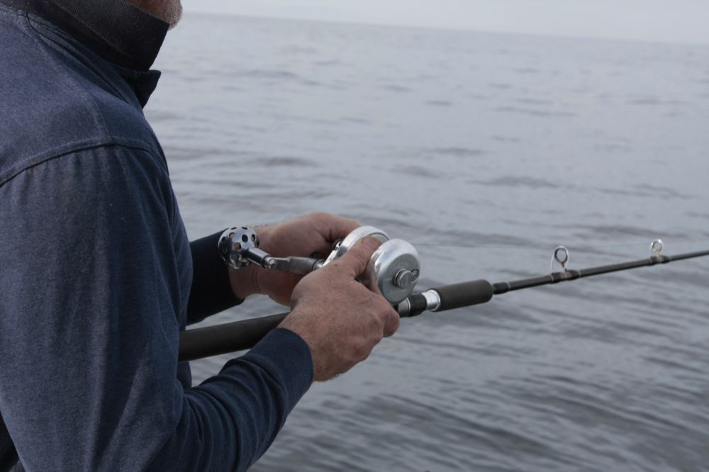 Support fishing for Bass