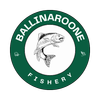 Ballinaroone fishery