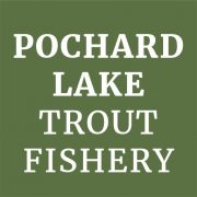 Pochard lake trout fishery